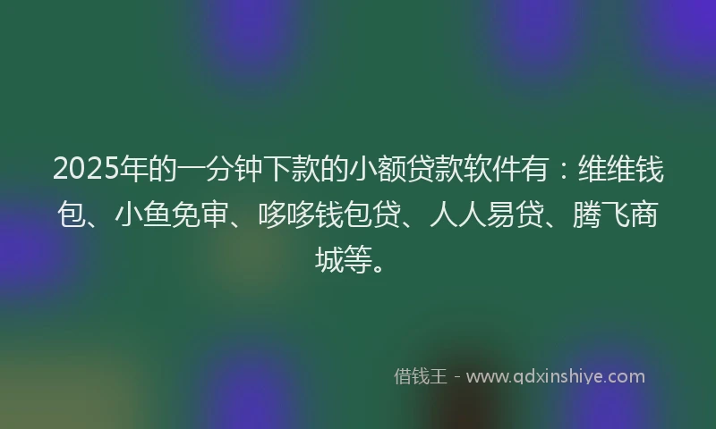 2025年的一分钟下款的小额贷款软件有：维维钱包、小鱼免审、哆哆钱包贷、人人易贷、腾飞商城等。