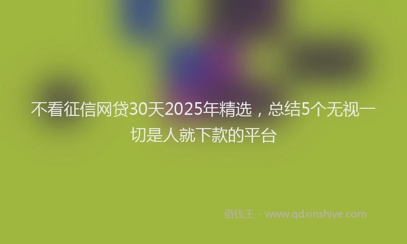 不看征信网贷30天2025年精选，总结5个无视一切是人就下款的平台