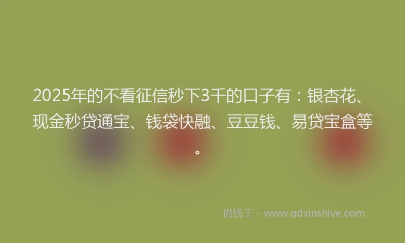 2025年的不看征信秒下3千的口子有：银杏花、现金秒贷通宝、钱袋快融、豆豆钱、易贷宝盒等。