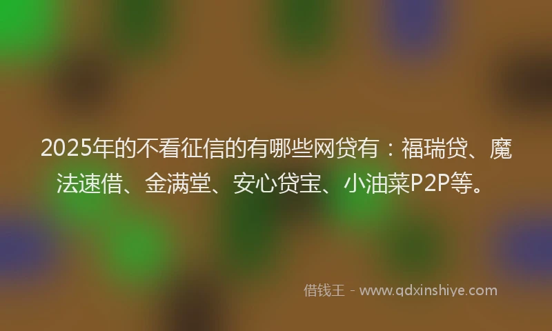 2025年的不看征信的有哪些网贷有：福瑞贷、魔法速借、金满堂、安心贷宝、小油菜P2P等。