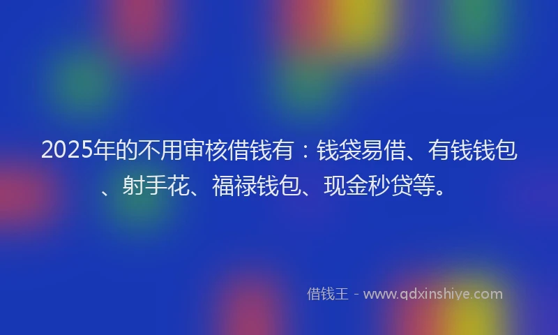 2025年的不用审核借钱有：钱袋易借、有钱钱包、射手花、福禄钱包、现金秒贷等。