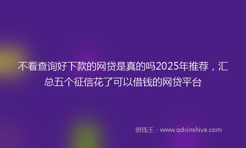 不看查询好下款的网贷是真的吗2025年推荐，汇总五个征信花了可以借钱的网贷平台
