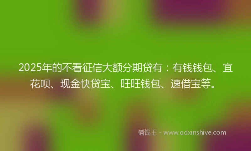 2025年的不看征信大额分期贷有：有钱钱包、宜花呗、现金快贷宝、旺旺钱包、速借宝等。