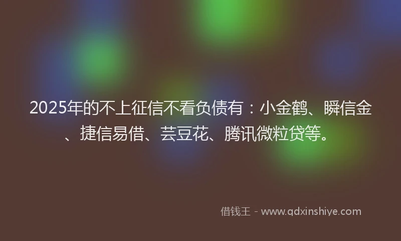 2025年的不上征信不看负债有：小金鹤、瞬信金、捷信易借、芸豆花、腾讯微粒贷等。