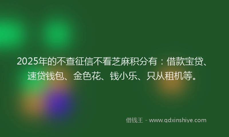 2025年的不查征信不看芝麻积分有：借款宝贷、速贷钱包、金色花、钱小乐、只从租机等。