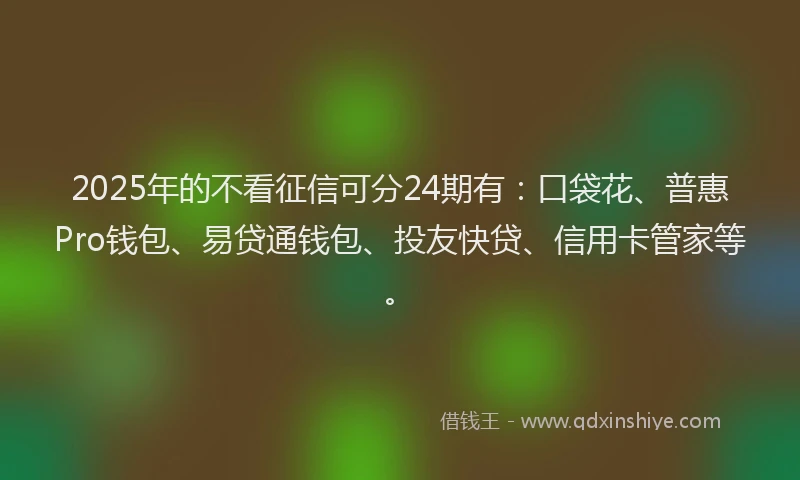 2025年的不看征信可分24期有：口袋花、普惠Pro钱包、易贷通钱包、投友快贷、信用卡管家等。