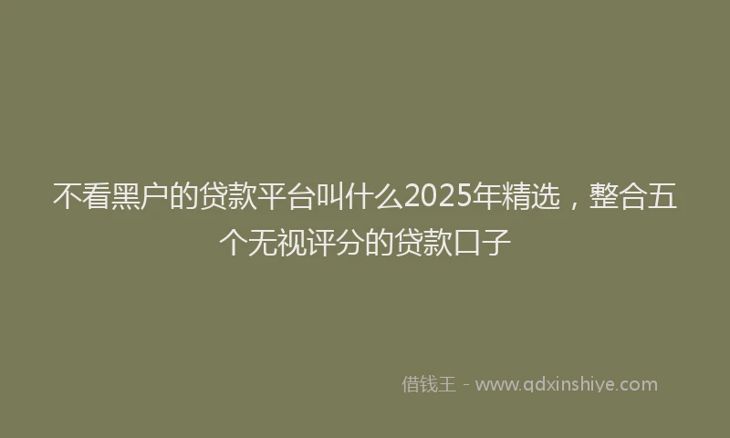 不看黑户的贷款平台叫什么2025年精选，整合五个无视评分的贷款口子