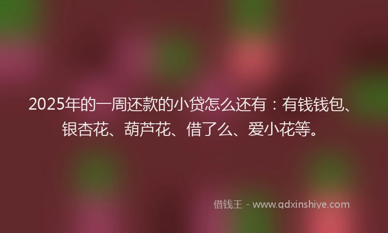 2025年的一周还款的小贷怎么还有：有钱钱包、银杏花、葫芦花、借了么、爱小花等。