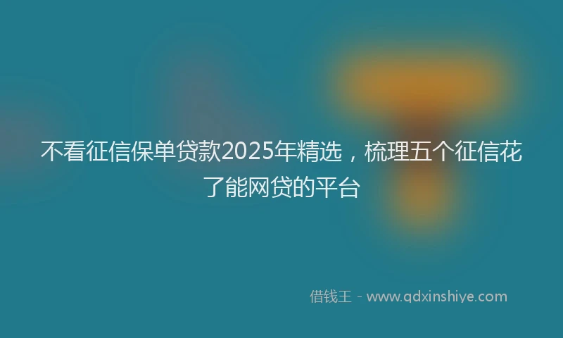 不看征信保单贷款2025年精选，梳理五个征信花了能网贷的平台
