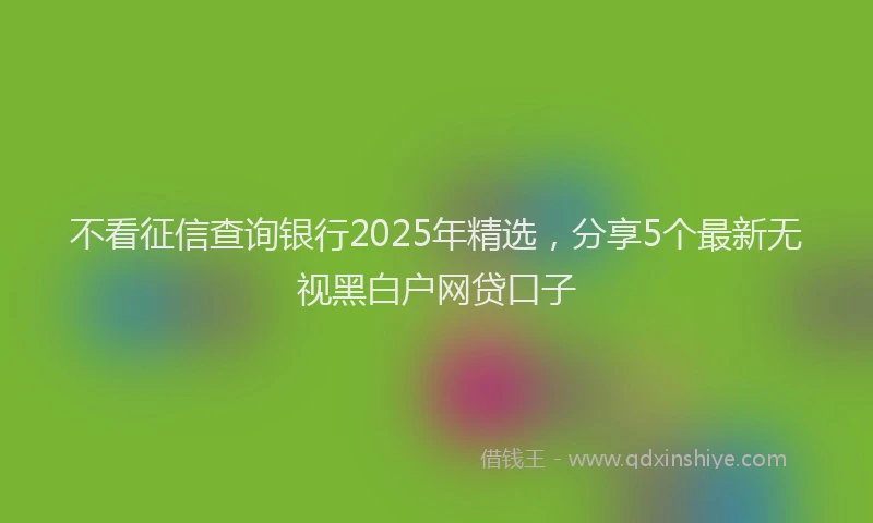 不看征信查询银行2025年精选，分享5个最新无视黑白户网贷口子