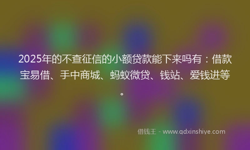 2025年的不查征信的小额贷款能下来吗有：借款宝易借、手中商城、蚂蚁微贷、钱站、爱钱进等。