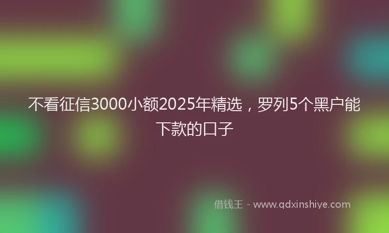 不看征信3000小额2025年精选，罗列5个黑户能下款的口子