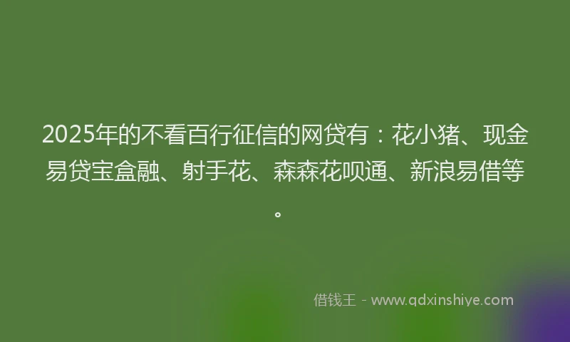 2025年的不看百行征信的网贷有：花小猪、现金易贷宝盒融、射手花、森森花呗通、新浪易借等。