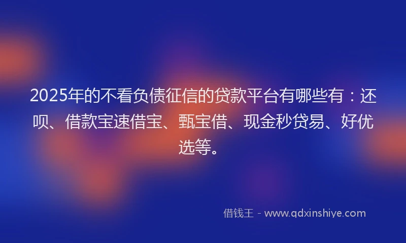 2025年的不看负债征信的贷款平台有哪些有：还呗、借款宝速借宝、甄宝借、现金秒贷易、好优选等。