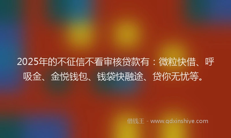 2025年的不征信不看审核贷款有：微粒快借、呼吸金、金悦钱包、钱袋快融途、贷你无忧等。