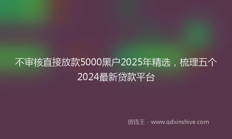 不审核直接放款5000黑户2025年精选，梳理五个2024最新贷款平台