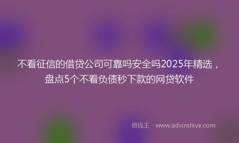不看征信的借贷公司可靠吗安全吗2025年精选，盘点5个不看负债秒下款的网贷软件