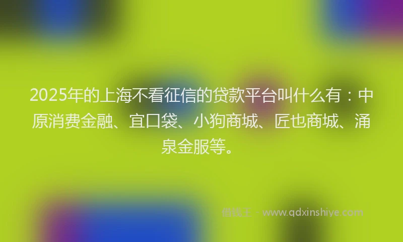 2025年的上海不看征信的贷款平台叫什么有：中原消费金融、宜口袋、小狗商城、匠也商城、涌泉金服等。