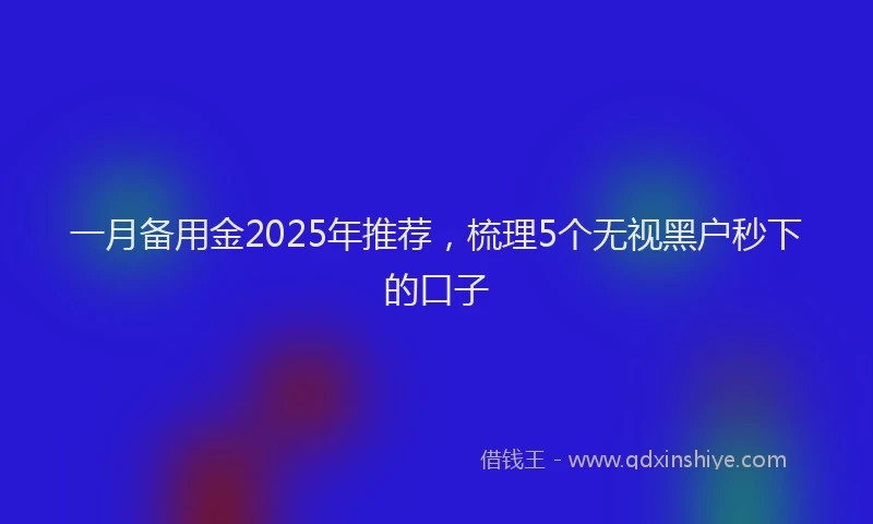 一月备用金2025年推荐，梳理5个无视黑户秒下的口子