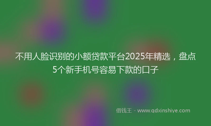 不用人脸识别的小额贷款平台2025年精选，盘点5个新手机号容易下款的口子