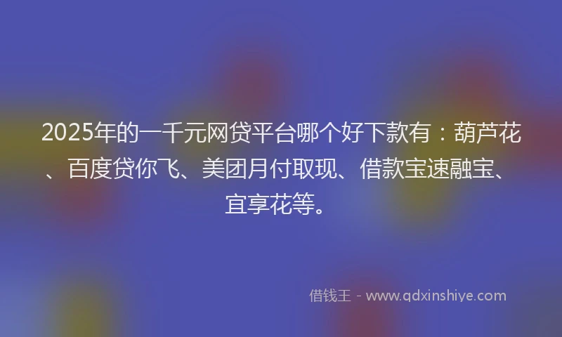 2025年的一千元网贷平台哪个好下款有：葫芦花、百度贷你飞、美团月付取现、借款宝速融宝、宜享花等。
