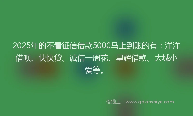 2025年的不看征信借款5000马上到账的有：洋洋借呗、快快贷、诚信一周花、星辉借款、大城小爱等。