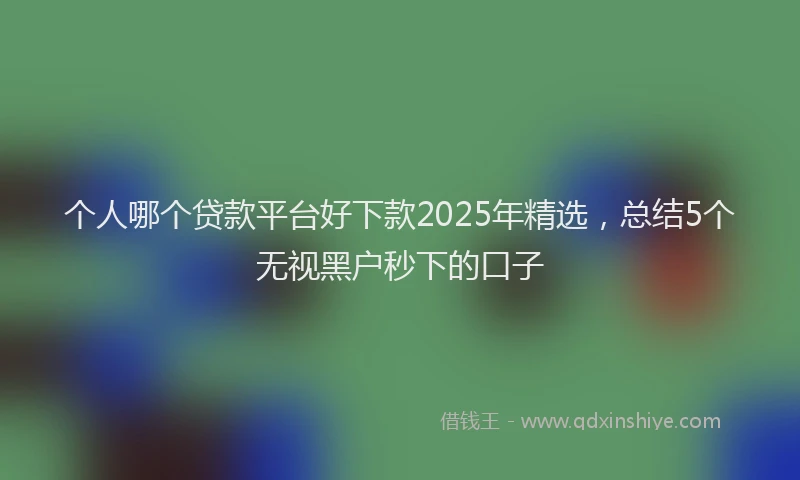 个人哪个贷款平台好下款2025年精选，总结5个无视黑户秒下的口子