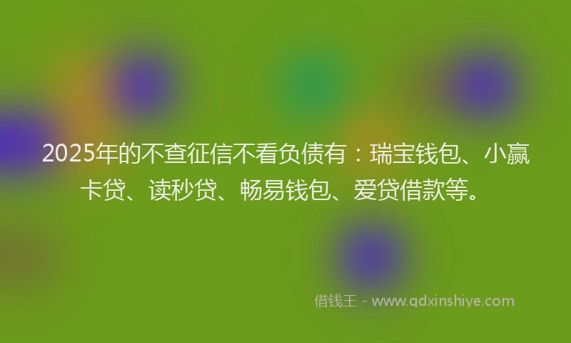 2025年的不查征信不看负债有：瑞宝钱包、小赢卡贷、读秒贷、畅易钱包、爱贷借款等。