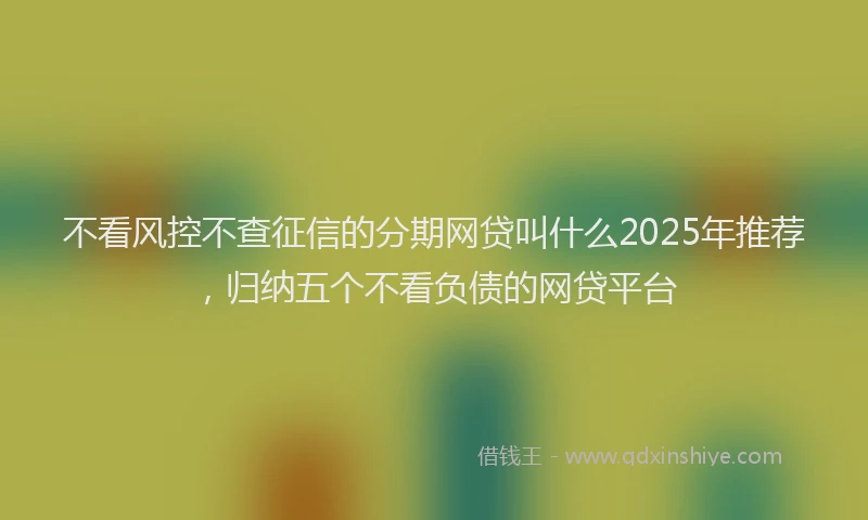 不看风控不查征信的分期网贷叫什么2025年推荐，归纳五个不看负债的网贷平台