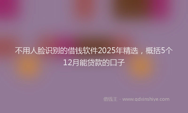 不用人脸识别的借钱软件2025年精选，概括5个12月能贷款的口子