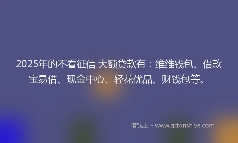 2025年的不看征信 大额贷款有：维维钱包、借款宝易借、现金中心、轻花优品、财钱包等。