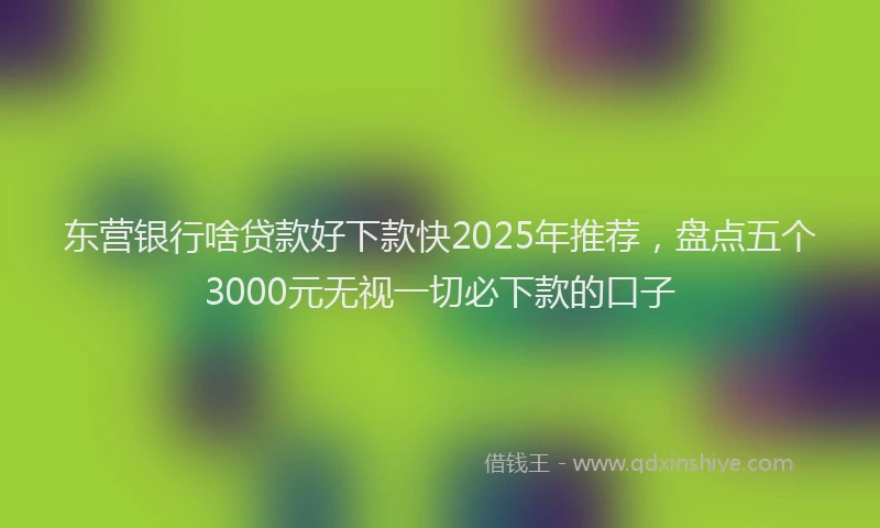 东营银行啥贷款好下款快2025年推荐，盘点五个3000元无视一切必下款的口子