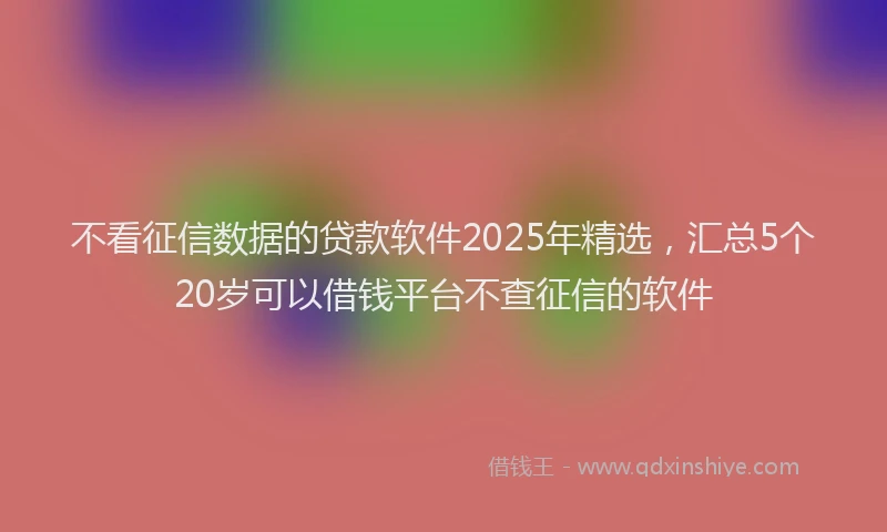 不看征信数据的贷款软件2025年精选，汇总5个20岁可以借钱平台不查征信的软件