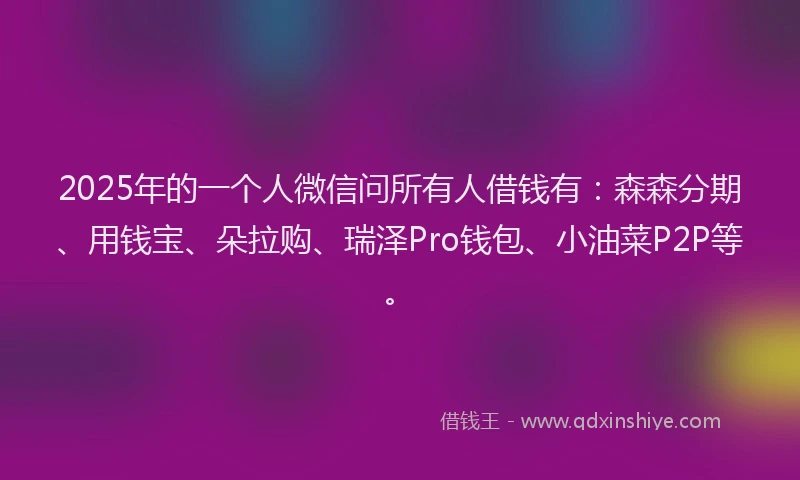 2025年的一个人微信问所有人借钱有：森森分期、用钱宝、朵拉购、瑞泽Pro钱包、小油菜P2P等。