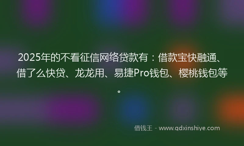 2025年的不看征信网络贷款有：借款宝快融通、借了么快贷、龙龙用、易捷Pro钱包、樱桃钱包等。