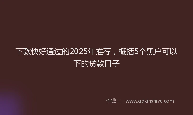 下款快好通过的2025年推荐，概括5个黑户可以下的贷款口子