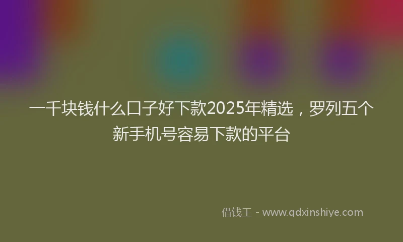 一千块钱什么口子好下款2025年精选，罗列五个新手机号容易下款的平台