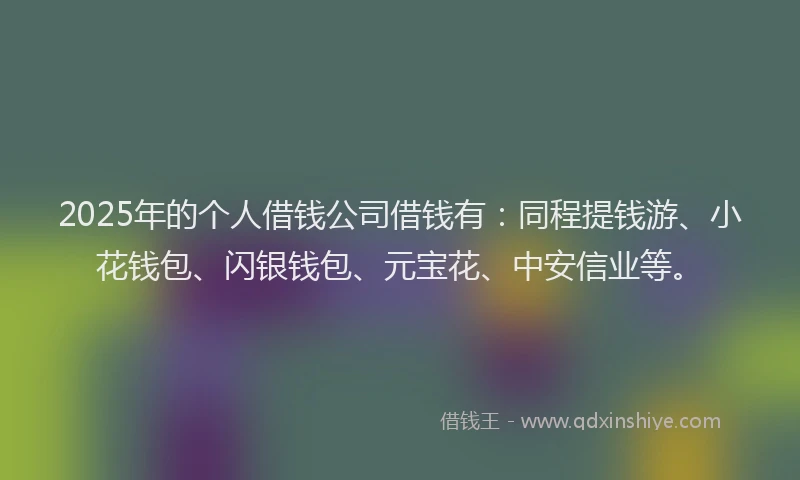 2025年的个人借钱公司借钱有：同程提钱游、小花钱包、闪银钱包、元宝花、中安信业等。