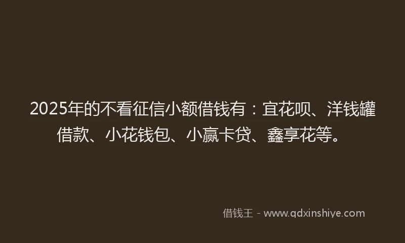 2025年的不看征信小额借钱有：宜花呗、洋钱罐借款、小花钱包、小赢卡贷、鑫享花等。