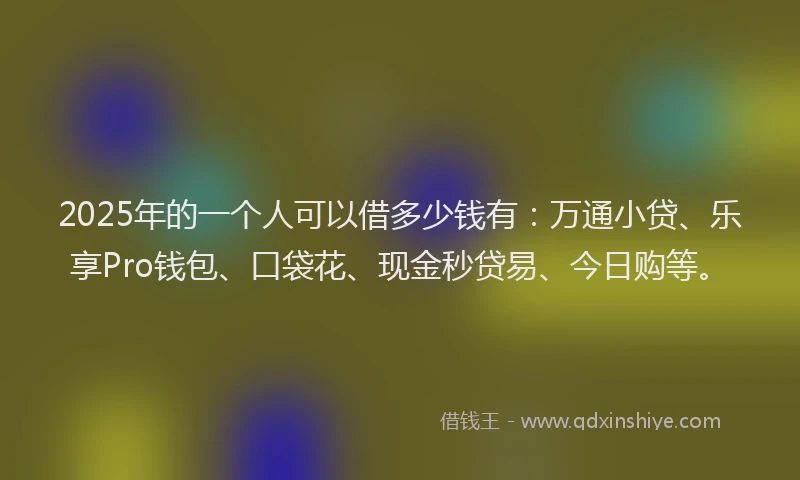 2025年的一个人可以借多少钱有：万通小贷、乐享Pro钱包、口袋花、现金秒贷易、今日购等。
