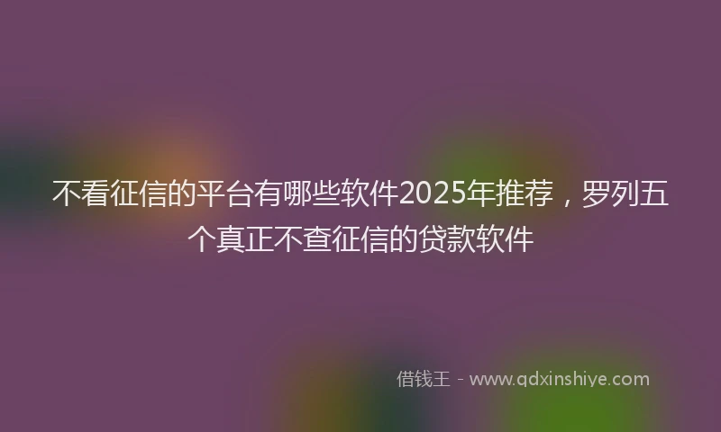 不看征信的平台有哪些软件2025年推荐，罗列五个真正不查征信的贷款软件