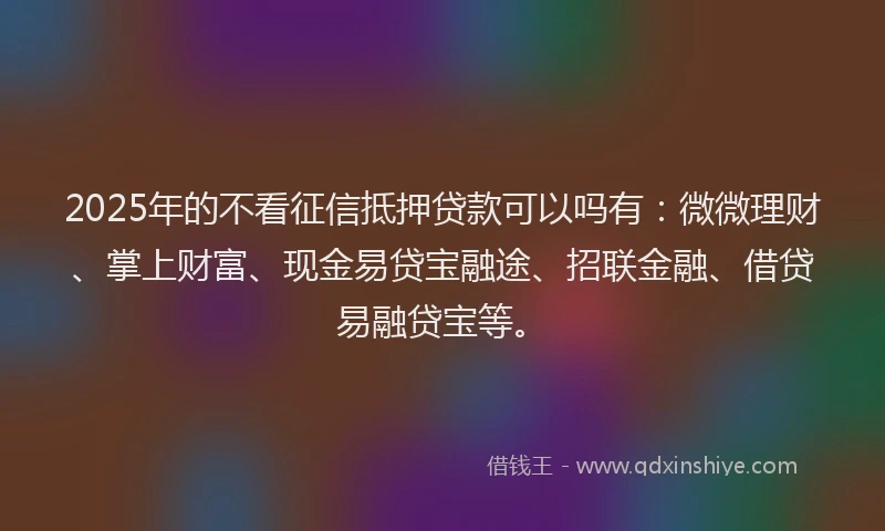 2025年的不看征信抵押贷款可以吗有：微微理财、掌上财富、现金易贷宝融途、招联金融、借贷易融贷宝等。