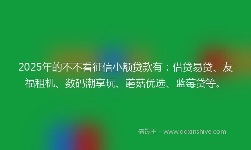 2025年的不不看征信小额贷款有：借贷易贷、友福租机、数码潮享玩、蘑菇优选、蓝莓贷等。