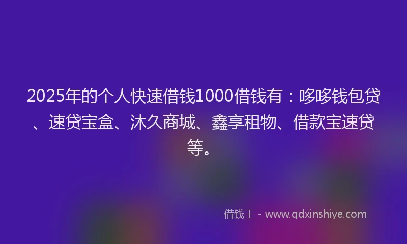 2025年的个人快速借钱1000借钱有：哆哆钱包贷、速贷宝盒、沐久商城、鑫享租物、借款宝速贷等。