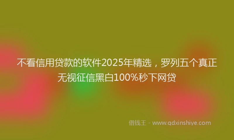 不看信用贷款的软件2025年精选，罗列五个真正无视征信黑白100%秒下网贷