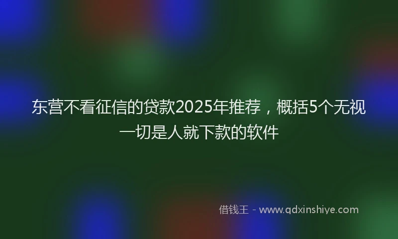 东营不看征信的贷款2025年推荐，概括5个无视一切是人就下款的软件