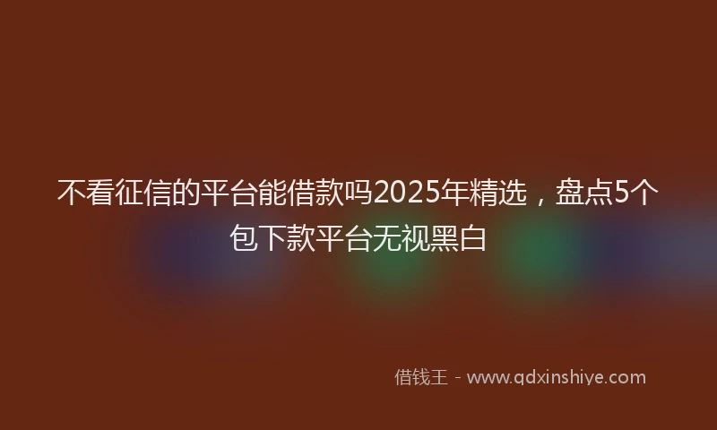不看征信的平台能借款吗2025年精选，盘点5个包下款平台无视黑白