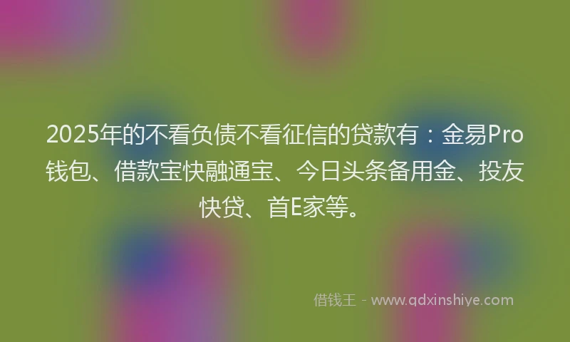 2025年的不看负债不看征信的贷款有：金易Pro钱包、借款宝快融通宝、今日头条备用金、投友快贷、首E家等。
