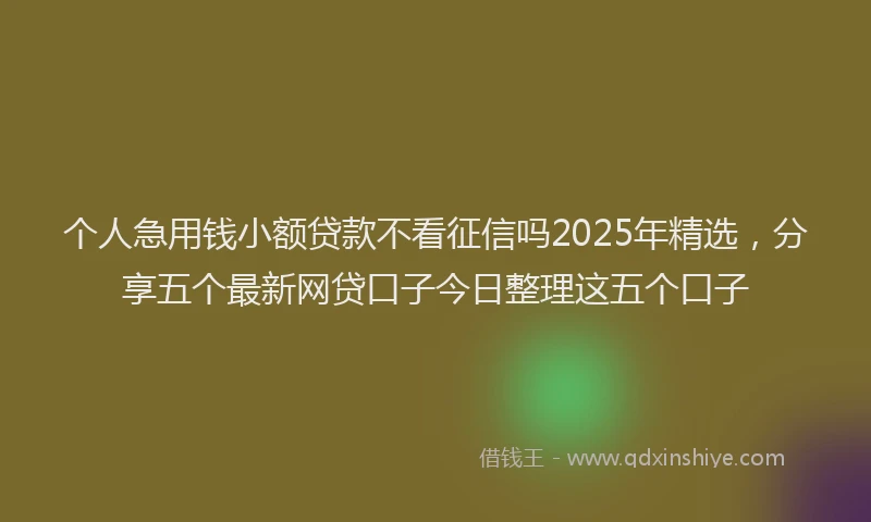 个人急用钱小额贷款不看征信吗2025年精选，分享五个最新网贷口子今日整理这五个口子