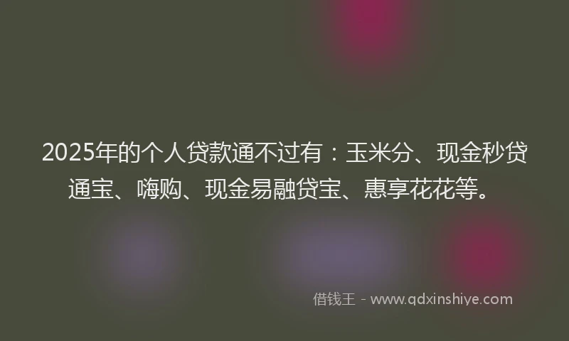 2025年的个人贷款通不过有：玉米分、现金秒贷通宝、嗨购、现金易融贷宝、惠享花花等。